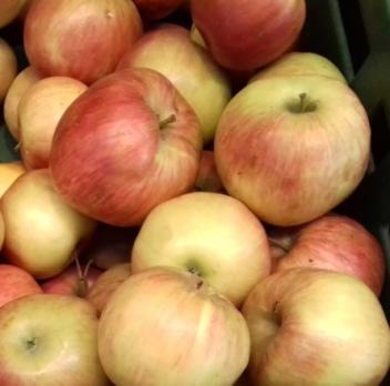 Яблоки Новый урожай 1 кг. "М"